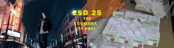 крисы Абаза