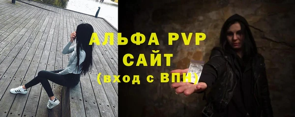 крисы Абаза