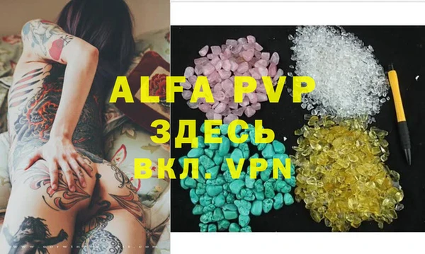 крисы Абаза