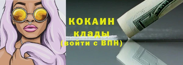 крисы Абаза