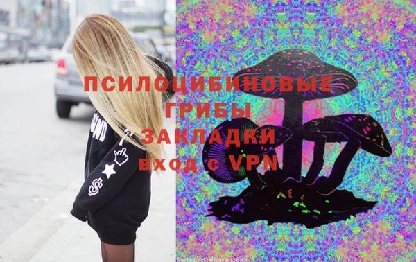 крисы Абаза