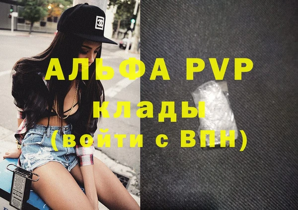 крисы Абаза