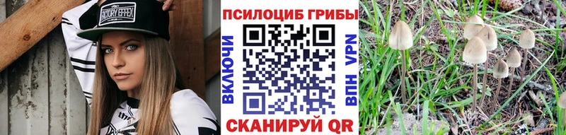 Галлюциногенные грибы Psilocybine cubensis  площадка наркотические препараты  Усмань 
